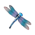 Premium Symbol III