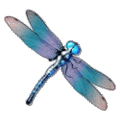 Premium Symbol III