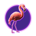 Premium Symbol II
